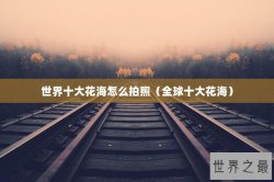 世界十大花海怎么拍照（全球十大花海）
