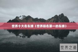 世界十大名车牌（世界排名第一的车牌）