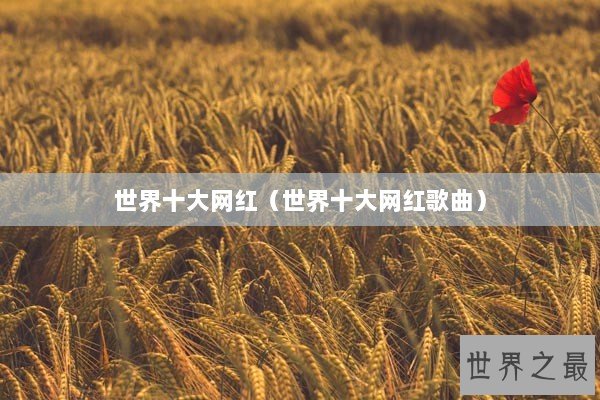 世界十大网红（世界十大网红歌曲）