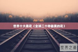 世界十大美花（全球二十种最美的花）