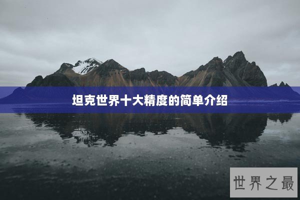 坦克世界十大精度的简单介绍