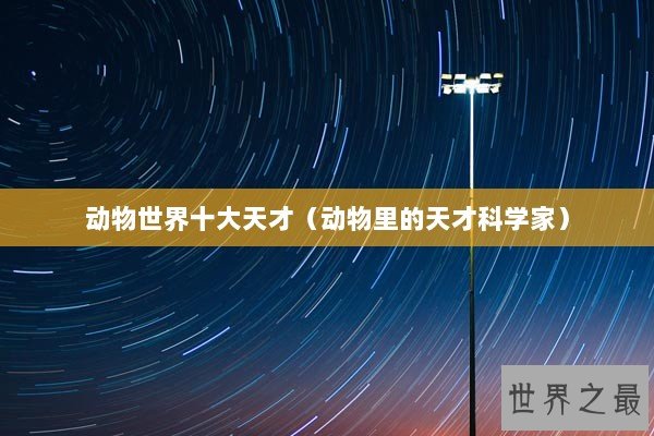 动物世界十大天才（动物里的天才科学家）