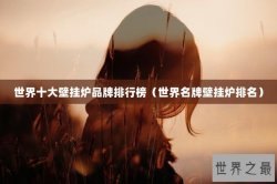 世界十大壁挂炉品牌排行榜（世界名牌壁挂炉排名）
