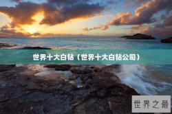 世界十大白钻（世界十大白钻公司）
