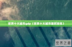世界十大城市gdp（世界十大城市面积排名）