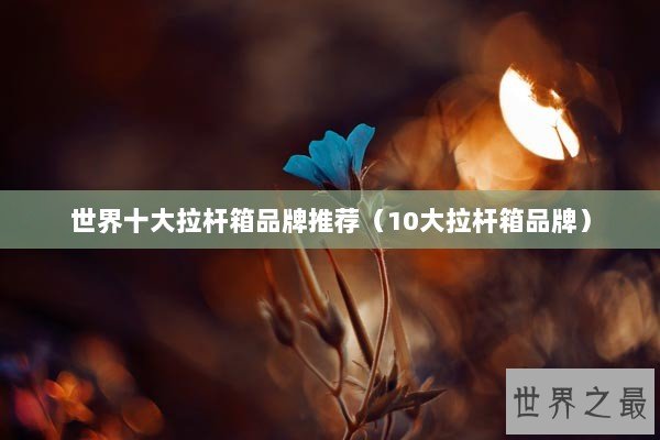 世界十大拉杆箱品牌推荐（10大拉杆箱品牌）