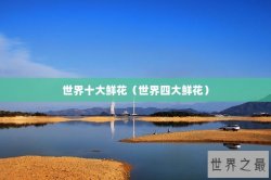 世界十大鲜花（世界四大鲜花）