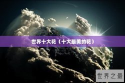 世界十大花（十大最美的花）