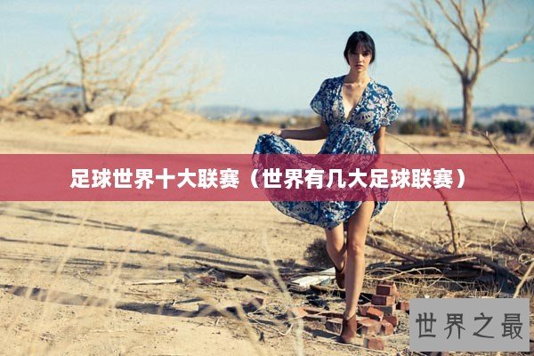足球世界十大联赛（世界有几大足球联赛）