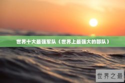世界十大最强军队（世界上最强大的部队）
