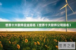 世界十大软件企业排名（世界十大软件公司排名）