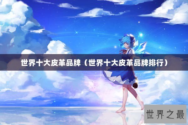 世界十大皮革品牌（世界十大皮革品牌排行）