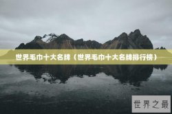 世界毛巾十大名牌（世界毛巾十大名牌排行榜）