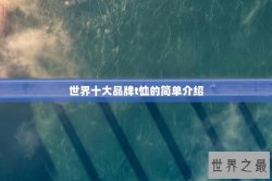 世界十大品牌t恤的简单介绍