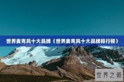 世界麦克风十大品牌（世界麦克风十大品牌排行榜）
