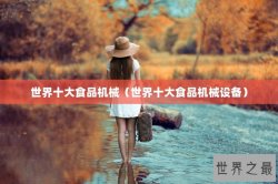 世界十大食品机械（世界十大食品机械设备）