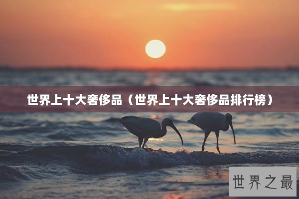 世界上十大奢侈品（世界上十大奢侈品排行榜）