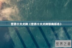 世界十大犬种（世界十大犬种智商排名）