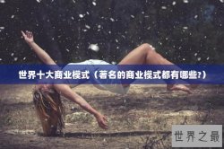 世界十大商业模式（著名的商业模式都有哪些?）