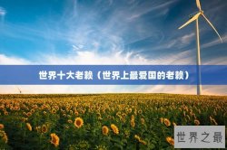 世界十大老赖（世界上最爱国的老赖）