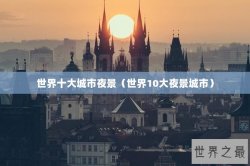 世界十大城市夜景（世界10大夜景城市）