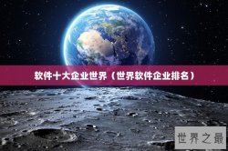 软件十大企业世界（世界软件企业排名）