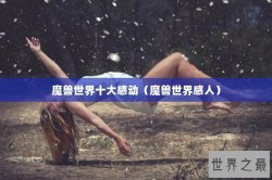 魔兽世界十大感动（魔兽世界感人）