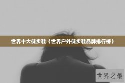 世界十大徒步鞋（世界户外徒步鞋品牌排行榜）