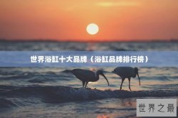 世界浴缸十大品牌（浴缸品牌排行榜）