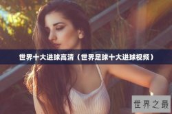 世界十大进球高清（世界足球十大进球视频）