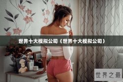 世界十大模拟公司（世界十大模拟公司）