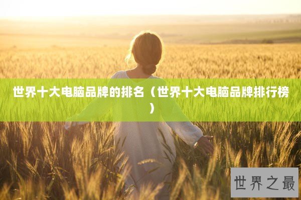 世界十大电脑品牌的排名（世界十大电脑品牌排行榜）