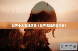世界十大名牌床垫（世界名牌床垫排名）