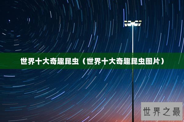 世界十大奇趣昆虫（世界十大奇趣昆虫图片）