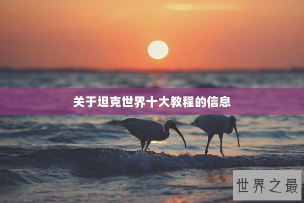 关于坦克世界十大教程的信息