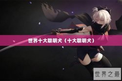 世界十大聪明犬（十大聪明犬）