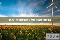 世界十大婚纱摄影（世界顶级婚纱摄影）