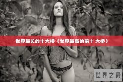 世界最长的十大桥（世界最高的前十 大桥）