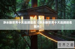 净水器世界十大品牌排名（净水器世界十大品牌排名图片）