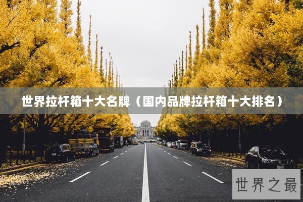 世界拉杆箱十大名牌（国内品牌拉杆箱十大排名）