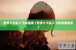 世界十大私人飞机品牌（世界十大私人飞机品牌排名）