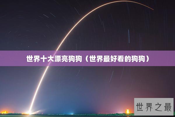 世界十大漂亮狗狗（世界最好看的狗狗）
