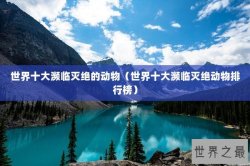 世界十大濒临灭绝的动物（世界十大濒临灭绝动物排行榜）