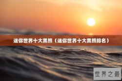 迷你世界十大黑熊（迷你世界十大黑熊排名）