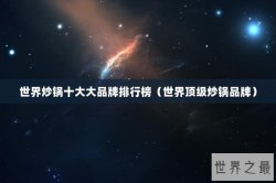 世界炒锅十大大品牌排行榜（世界顶级炒锅品牌）