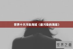 世界十大污染海域（最污染的海域）
