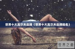 世界十大高尔夫品牌（世界十大高尔夫品牌排名）