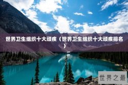 世界卫生组织十大顽疾（世界卫生组织十大顽疾排名）