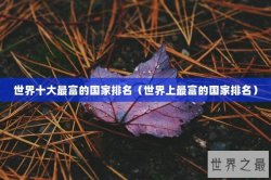 世界十大最富的国家排名（世界上最富的国家排名）