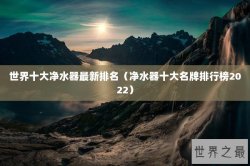 世界十大净水器最新排名（净水器十大名牌排行榜2022）